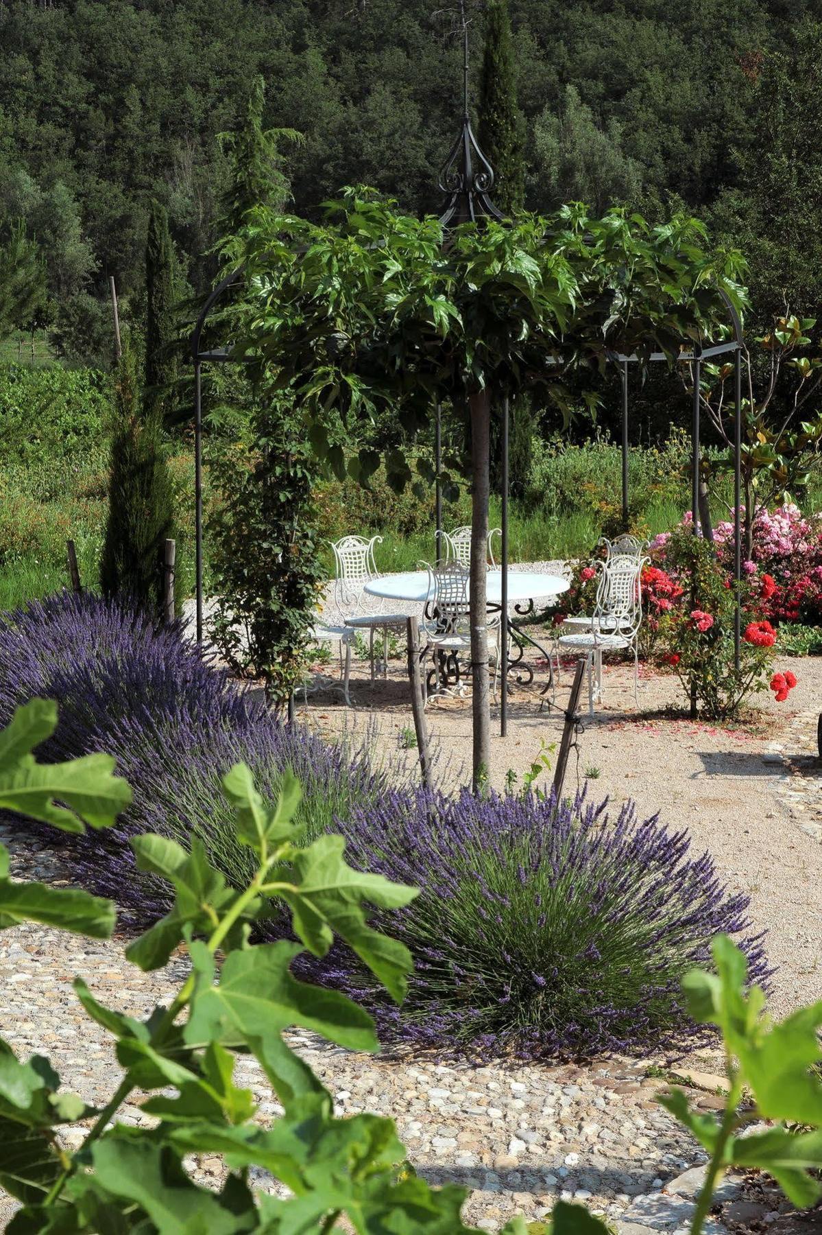 Une Campagne En Provence Bras Экстерьер фото